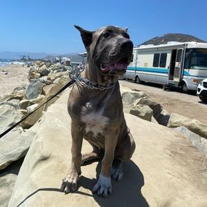 Meet your Posher, Tyler